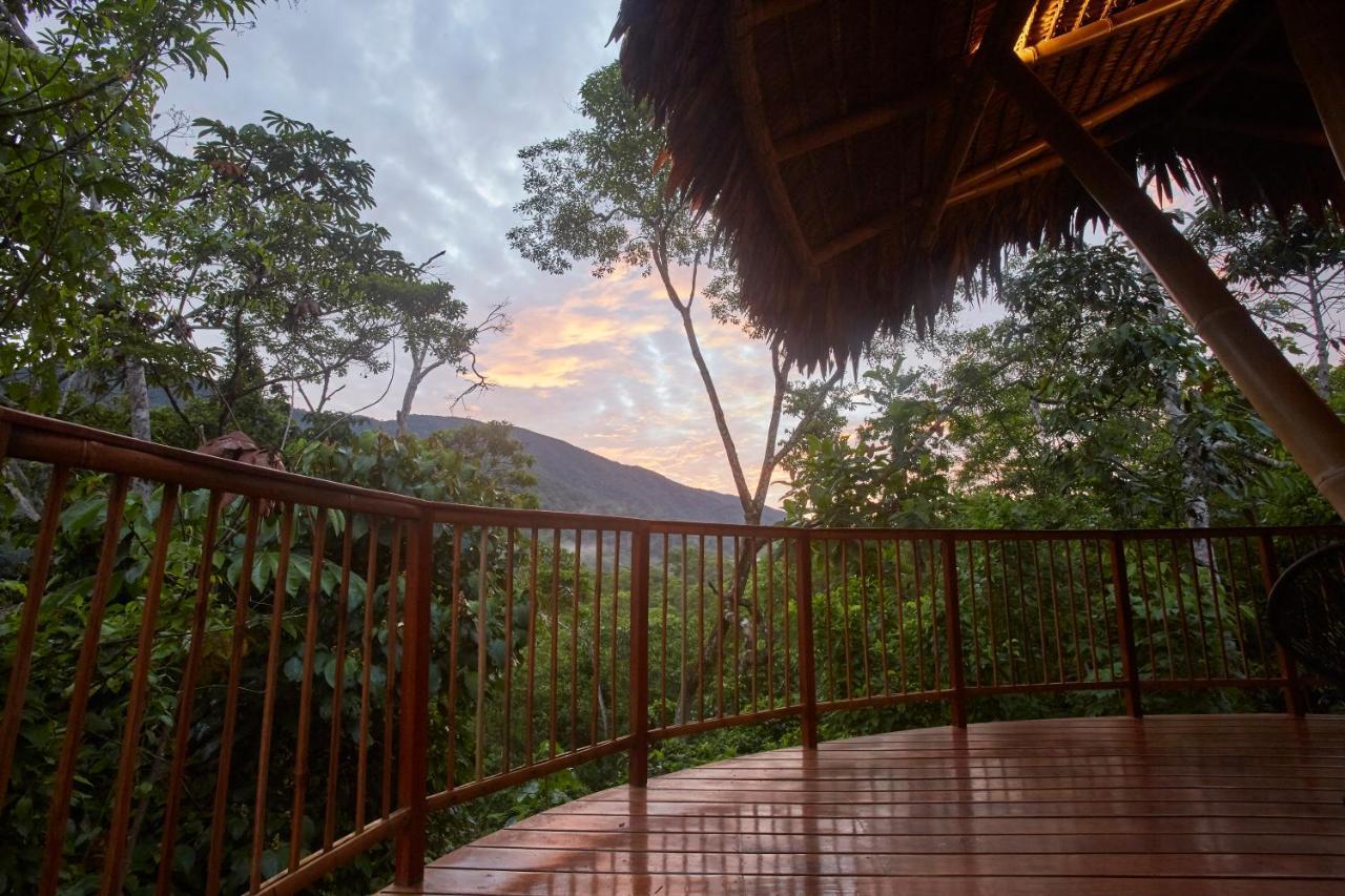 Bosque Guardian Lodge 塔拉波托 外观 照片