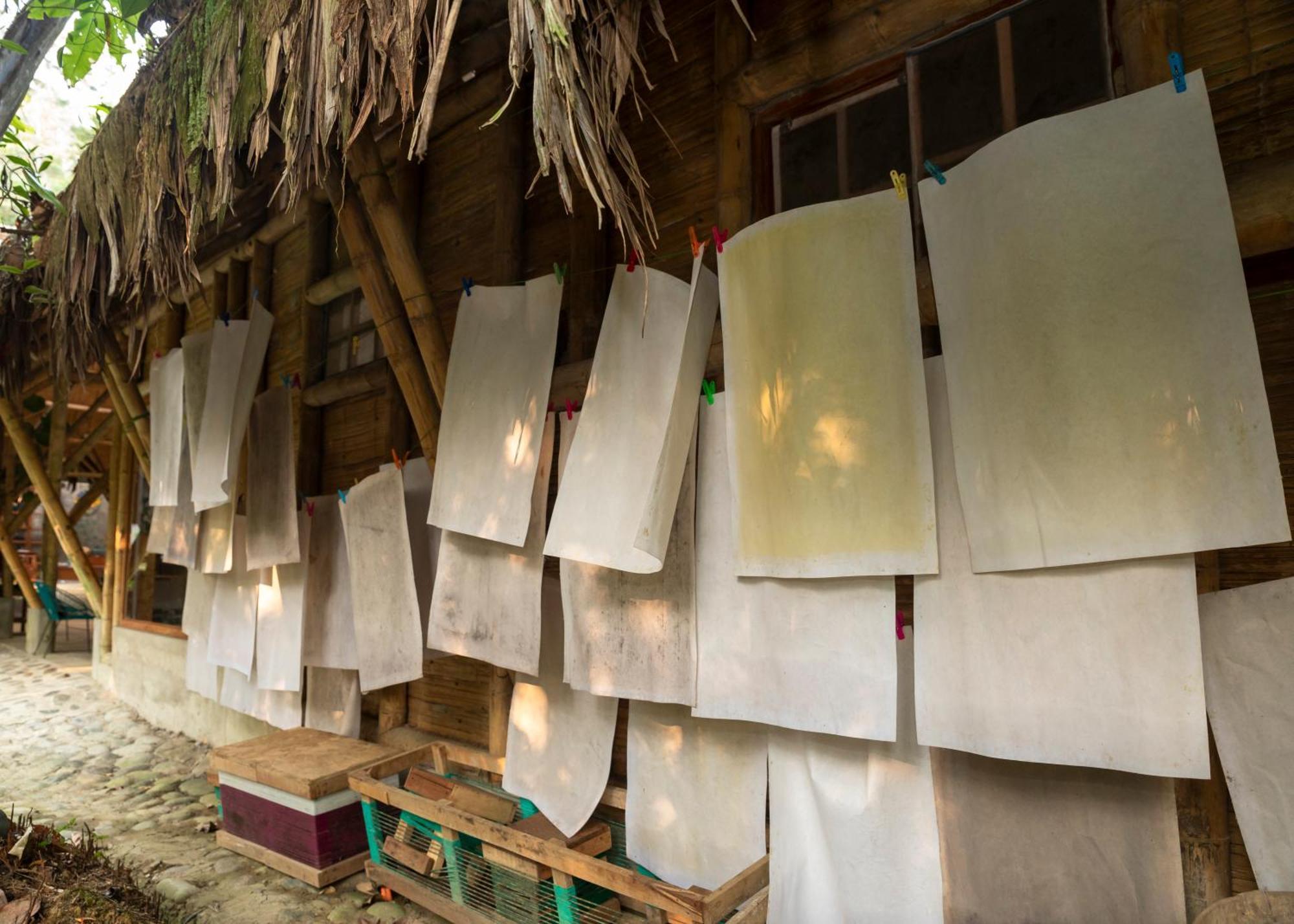 Bosque Guardian Lodge 塔拉波托 外观 照片