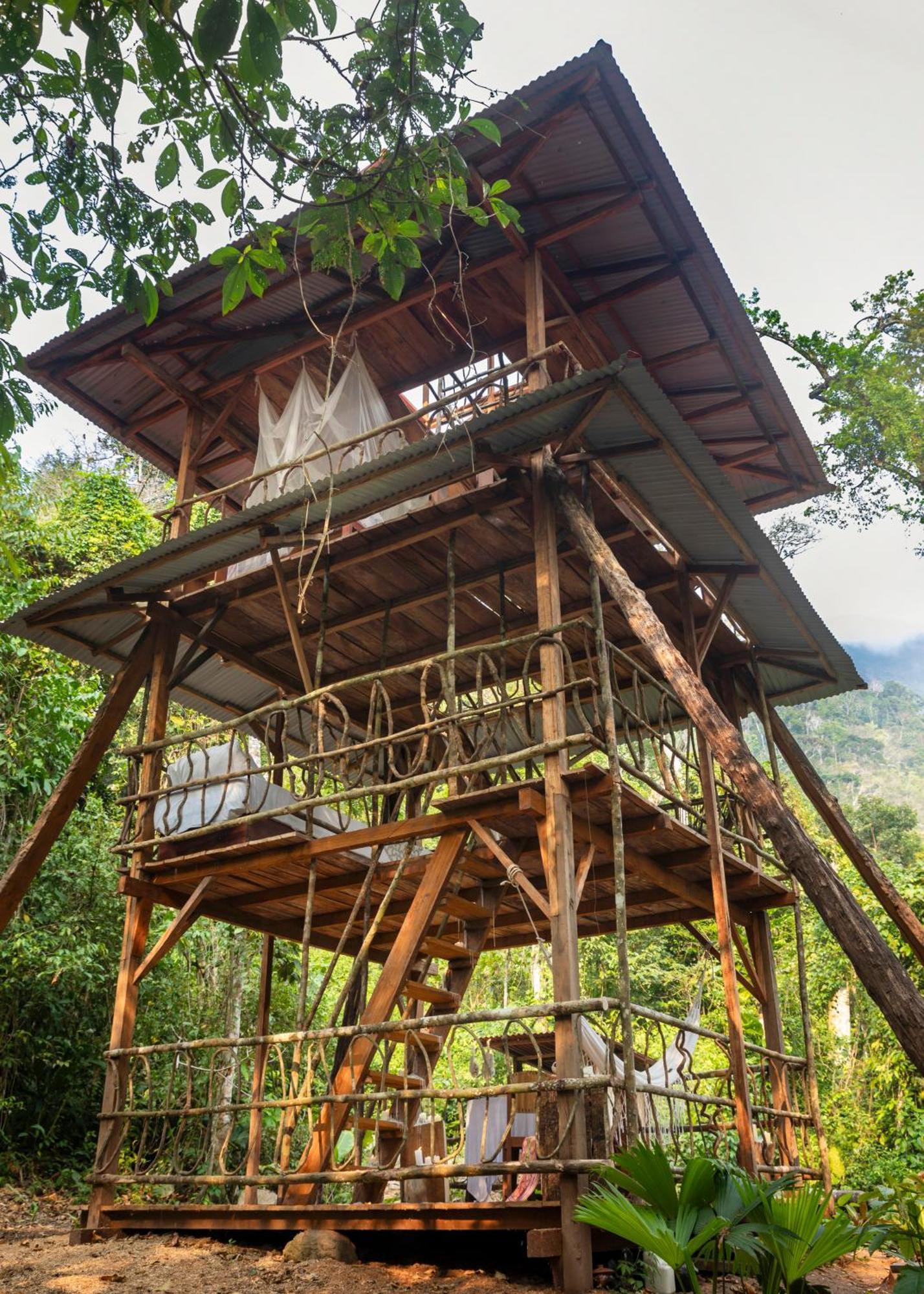 Bosque Guardian Lodge 塔拉波托 外观 照片