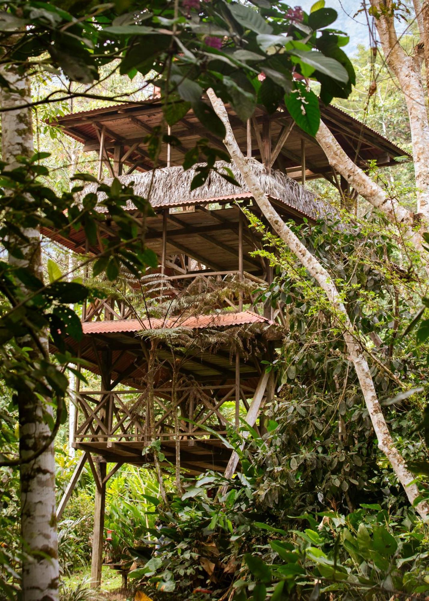 Bosque Guardian Lodge 塔拉波托 外观 照片