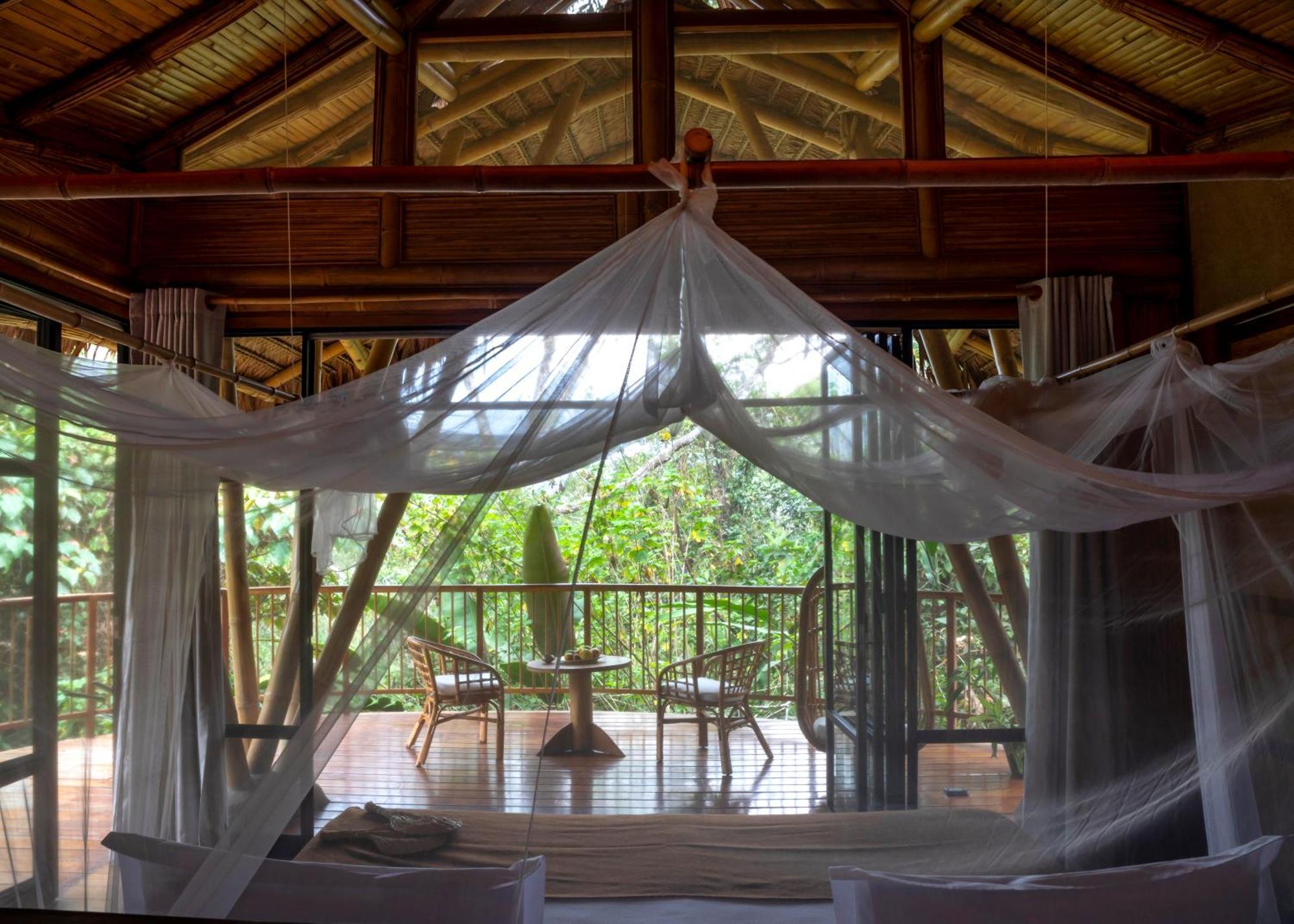 Bosque Guardian Lodge 塔拉波托 外观 照片