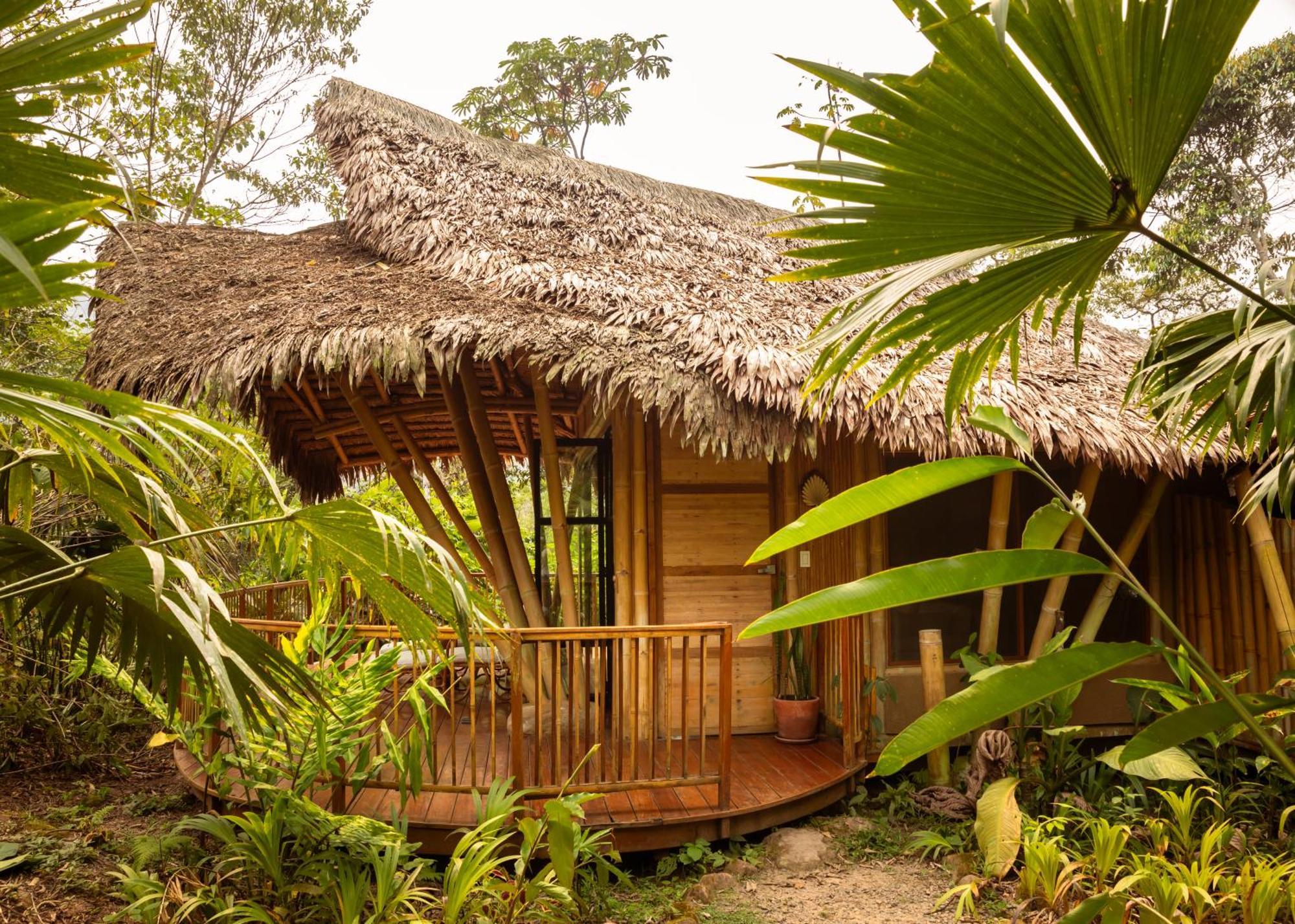 Bosque Guardian Lodge 塔拉波托 外观 照片