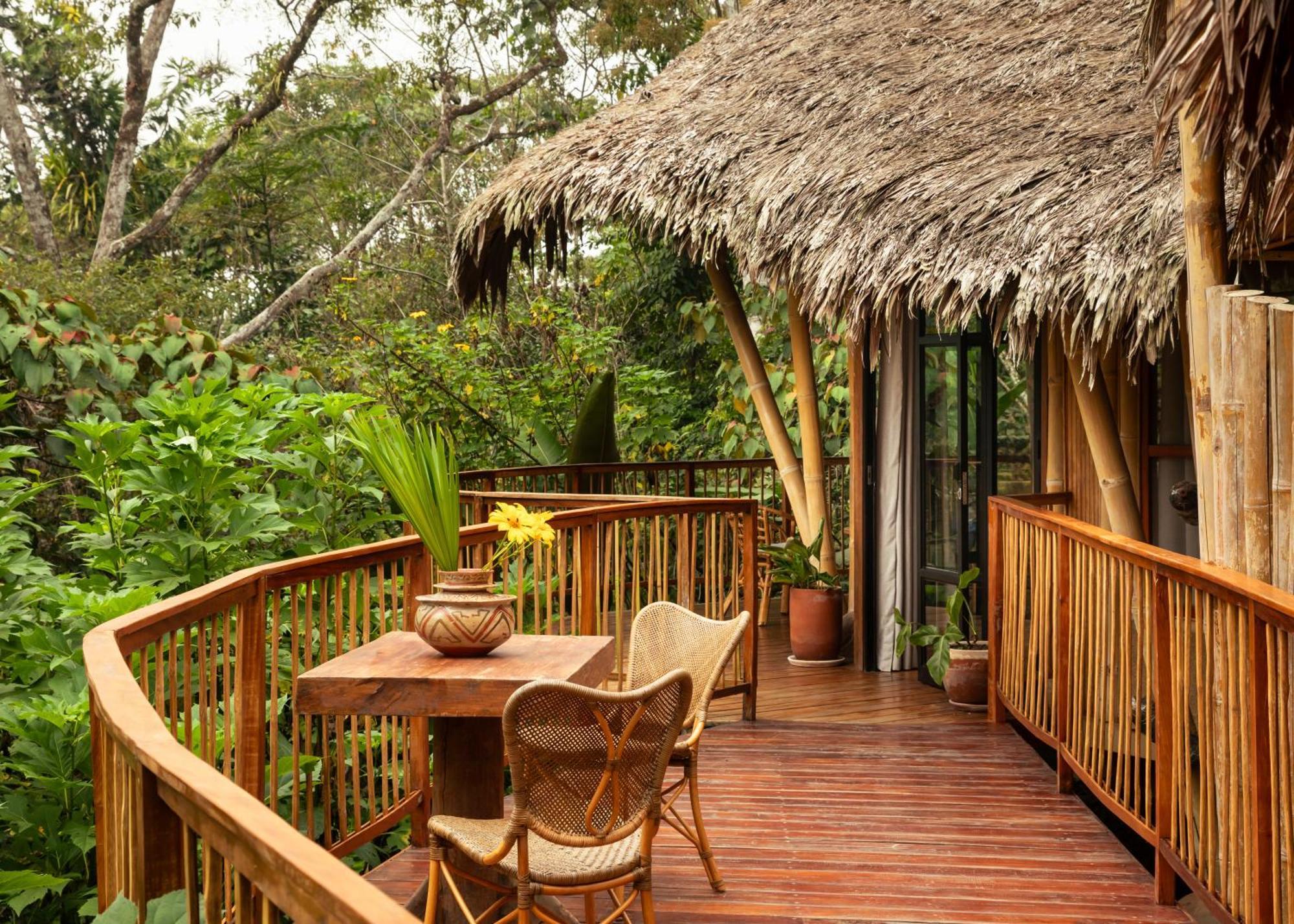 Bosque Guardian Lodge 塔拉波托 外观 照片